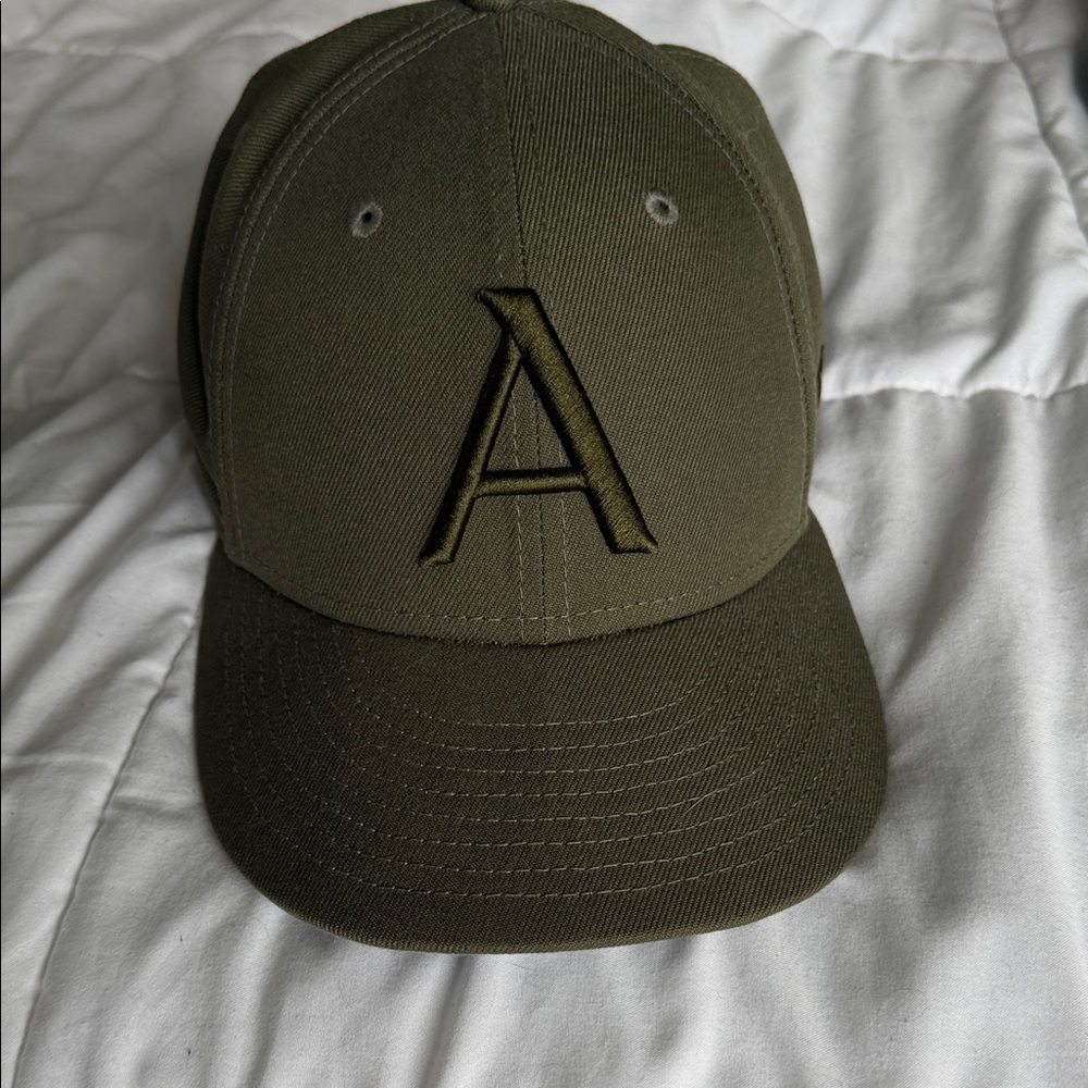NWOT ARITZIA full back ball cap